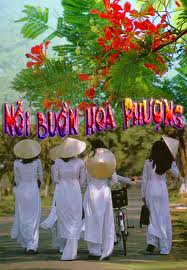 noi buon hoa phuong